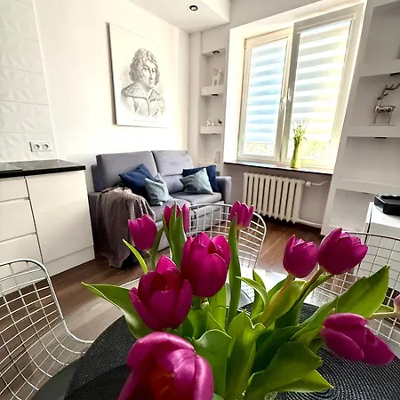 Space 2 Center Apartment